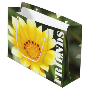 Sac cadeau Friends