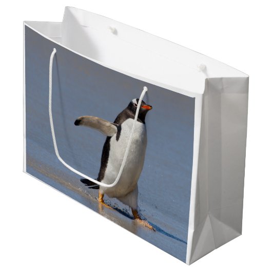 Sac cadeau Gentoo à pagaie (Devant Angle)