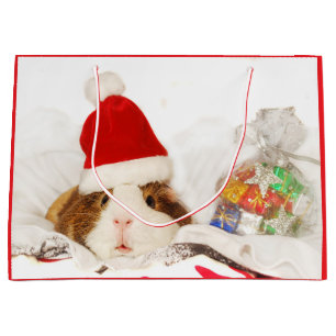 Sac cadeau GUINEA PIG DANS UN CHAT SANTA