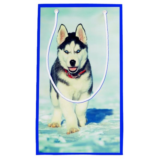 Sac cadeau Husky (Devant)