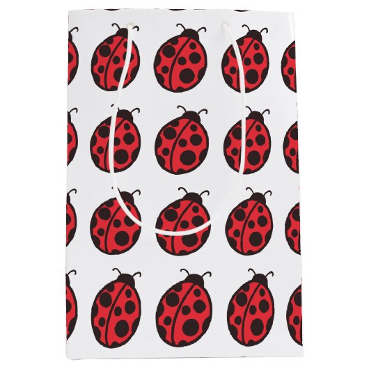 Sac cadeau Ladybug (Devant)