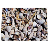 Sac Cadeau Lg Coques de mer (Devant)