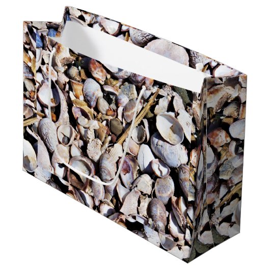 Sac Cadeau Lg Coques de mer (Devant Angle)