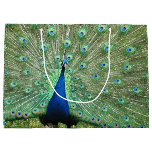 Sac Cadeau (Lrg) - Piège Fière (Dos)