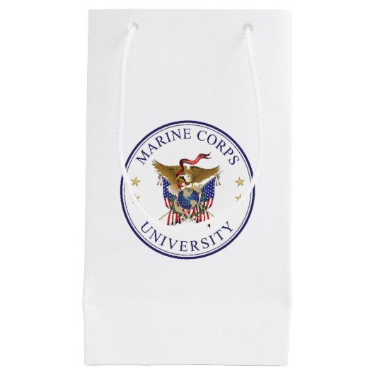 Sac cadeau MCU (Devant)