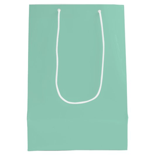 Sac cadeau Monogram Turquoise souple (Dos)