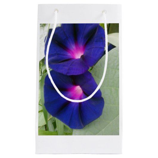 Sac Cadeau Morning Glory (Devant)