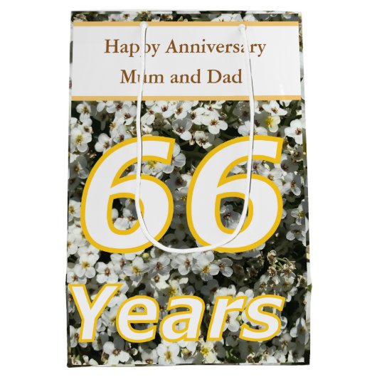 Sac Cadeau Moyen 66e anniversaire modifiable (Dos)