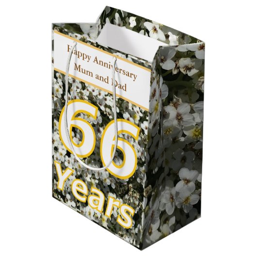 Sac Cadeau Moyen 66e anniversaire modifiable (Dos Angle)