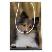 Sac Cadeau Moyen Adorable Sable Sheltie, Shetland Sheepdog (Devant)