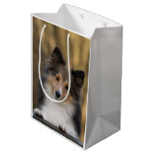 Sac Cadeau Moyen Adorable Sable Sheltie, Shetland Sheepdog (Dos Angle)