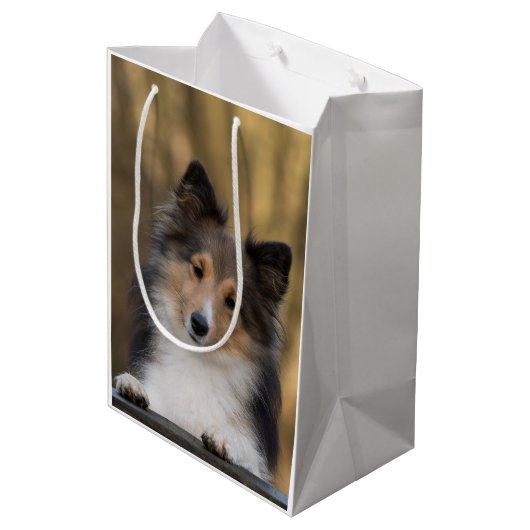 Sac Cadeau Moyen Adorable Sable Sheltie, Shetland Sheepdog (Dos Angle)