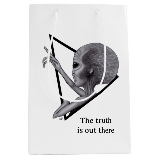 Sac Cadeau Moyen Alien gris, la vérité est là (Devant)