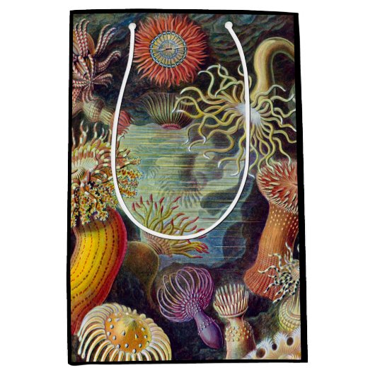 Sac Cadeau Moyen Anémone de mer Nature scientifique Océan (Devant)