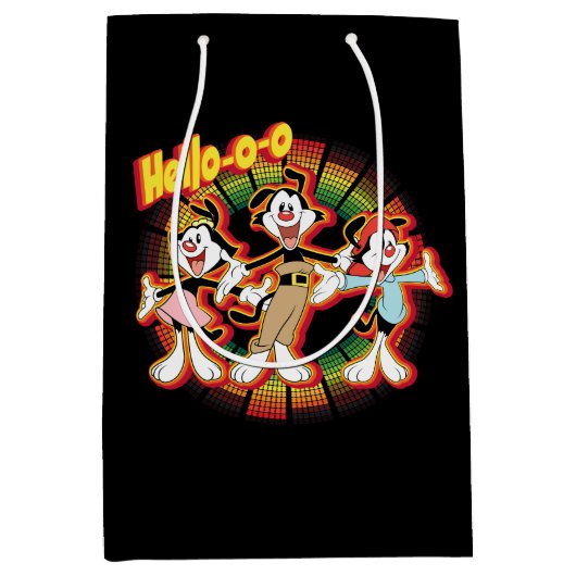 Sac Cadeau Moyen Animaniacs | Hello-o Retro Equalizer Graphic (Devant)