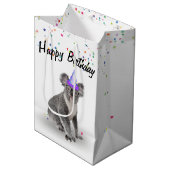 Sac Cadeau Moyen Anniversaire Koala Bear et Star Confetti (Devant Angle)