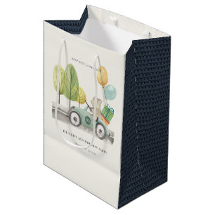 Sac Cadeau Moyen Aqua Green N'importe quel âge Anniversaire Fête Te