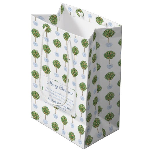 Sac Cadeau Moyen Aquarelle Joyeuses Vacances Citrus Orange Tree (Devant Angle)