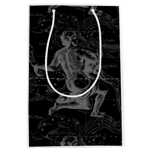Sac Cadeau Moyen Aquarius Zodiac Constellation Engraving Hevelius (Devant)