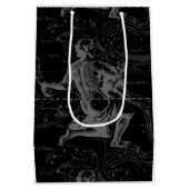Sac Cadeau Moyen Aquarius Zodiac Constellation Engraving Hevelius (Dos)