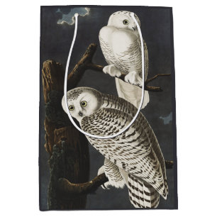 Sac Cadeau Moyen Art ancien d'oiseau de nuit, chouette blanche d'Au