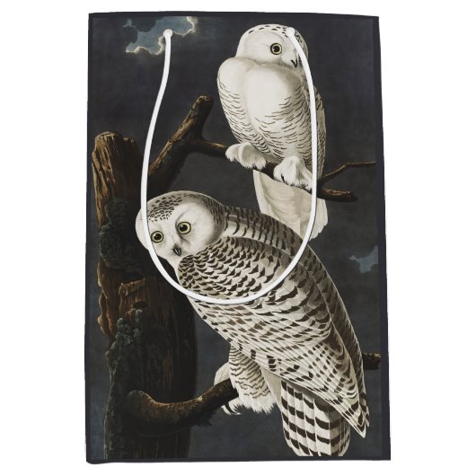 Sac Cadeau Moyen Audubon Snowy Owl Bird Artwork (Devant)