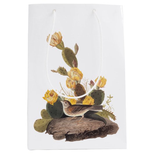 Sac Cadeau Moyen Audubon Vesper Sparrow et Prickly Pear Cactus (Devant)