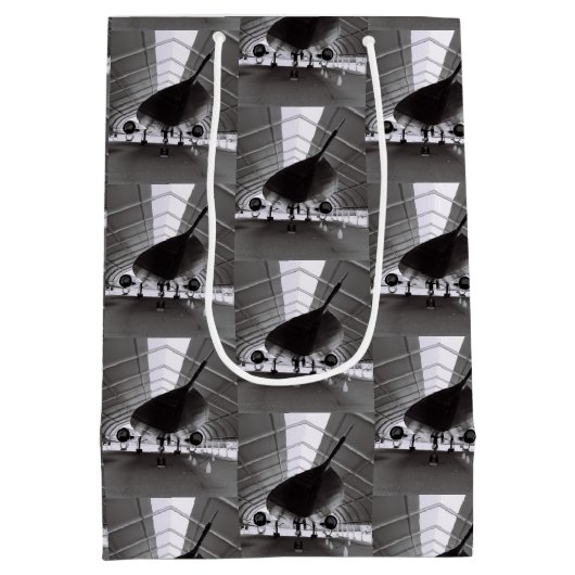 Sac Cadeau Moyen Avion 2 (Dos)