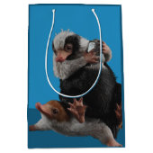 Sac Cadeau Moyen Baby Nifflers Find A Prize (Devant)