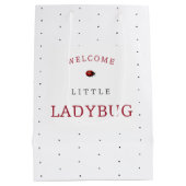Sac Cadeau Moyen Baby shower Little Ladybug (Dos)