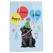 Sac Cadeau Moyen Ballons de fête d'anniversaire Black Lab (Devant)
