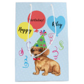 Sac Cadeau Moyen Balloons de fête d'anniversaire Dachshund (Devant)