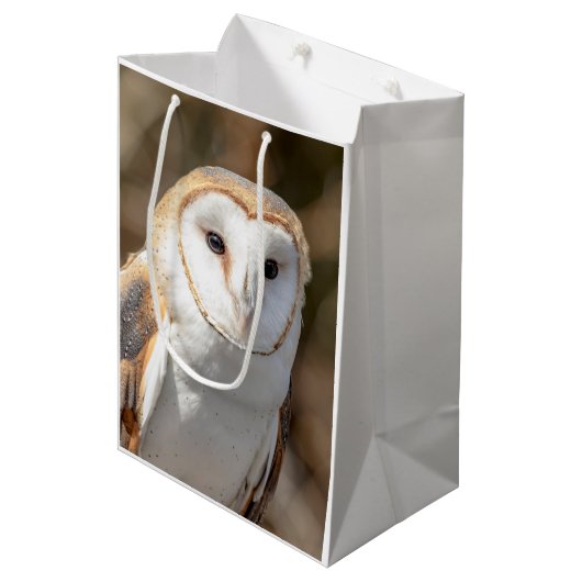 Sac Cadeau Moyen Barn Owl (Devant Angle)