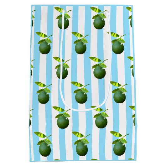 Sac Cadeau Moyen Beaucoup de chaux (Dos)