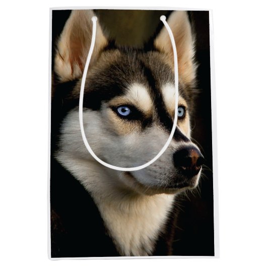 Sac Cadeau Moyen Beautiful Husky Throw Pillow (Devant)