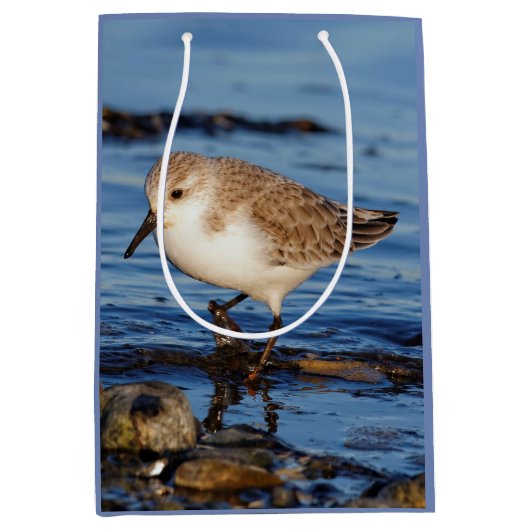 Sac Cadeau Moyen Belle Bécasseau De Sanderling Marche Les Rives D'A (Devant)