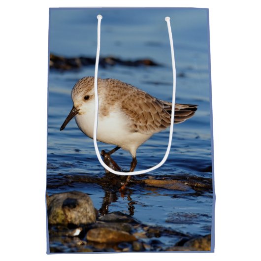 Sac Cadeau Moyen Belle Bécasseau De Sanderling Marche Les Rives D'A (Dos)