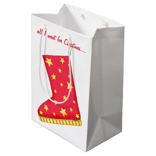 Sac Cadeau Moyen Boot Lover All I Want for Christmas Stocking (Dos Angle)