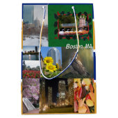 Sac Cadeau Moyen Boston, Massachusetts (Devant)