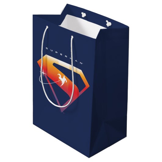 Sac Cadeau Moyen Bouclier Superman de Sunset Soar (Dos Angle)
