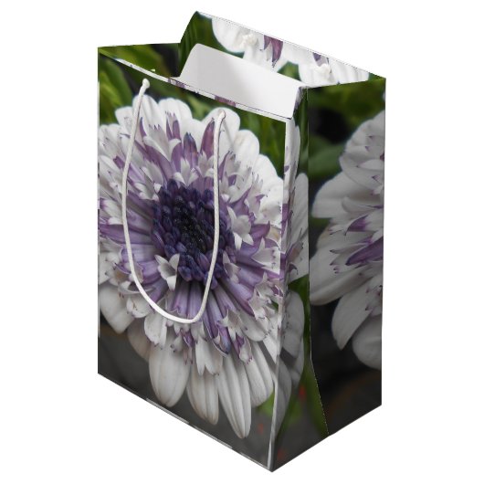 Sac Cadeau Moyen Brett (Devant Angle)