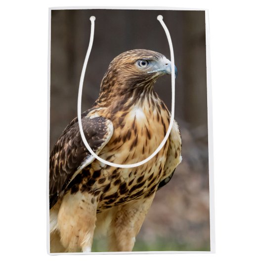 Sac Cadeau Moyen Buse à queue rouge dans la vallée de l'Hudson (Devant)