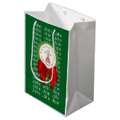 Sac Cadeau Moyen CAPYBARA green XMAS NAME EDITABLE  (Devant Angle)