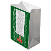 Sac Cadeau Moyen CAPYBARA green XMAS NAME EDITABLE  (Dos Angle)