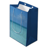 Sac Cadeau Moyen Caraïbes Horizon Tropical Turquoise Bleu (Devant Angle)