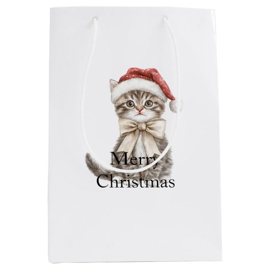 Sac Cadeau Moyen Cat in a hat Christmas  (Devant)