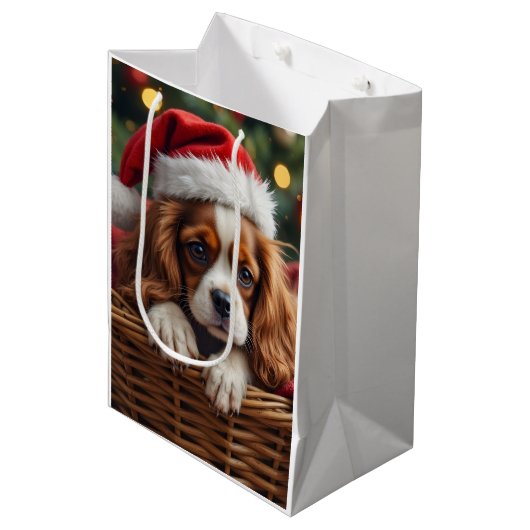 Sac Cadeau Moyen Cavalier King Charles Spaniel Cozy Basket (Devant Angle)