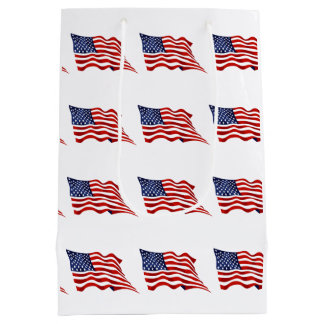 Sac Cadeau Moyen Chat 250ème Liberté Américaine Rayures Patriotique