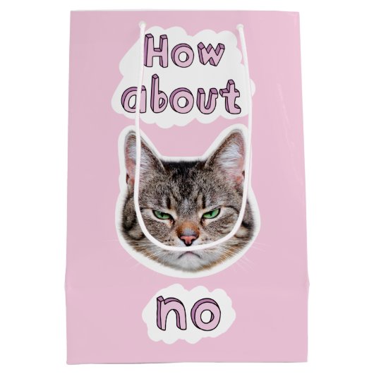 Sac Cadeau Moyen Chat agacé (Dos)