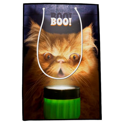 Sac Cadeau Moyen Chat avec lampe de poche (Devant)